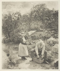 A Garden End (Suffolk)