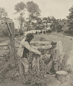 At the Grindstone--A Suffolk Farmyard