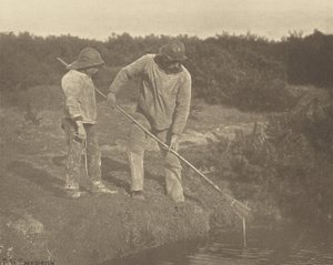 Eel-Picking in Suffolk Waters by Peter Henry Emerson