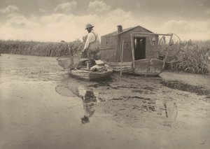 Eel Catcher