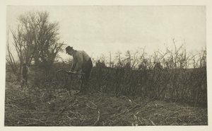 Fencing in Suffolk