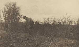 Fencing in Suffolk