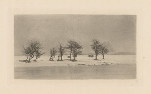 Gnarled Thorn Trees by Peter Henry Emerson