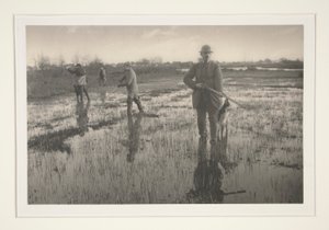 Men Hunting in a Marsh