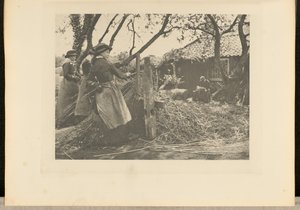 Osier-Peeling. [Norfolk]