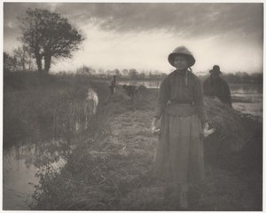 Poling the Marsh Hay