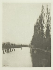 Poplars and Pollards on the Lea, Near Broxbourne