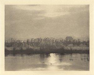 Rime Crystals by Peter Henry Emerson