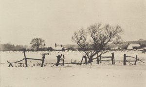 The Snowy Marshlands