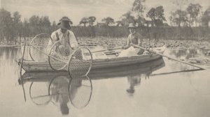 Setting the Bow-Net