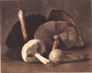 White Mushroom by Peter Vilhelm Ilsted