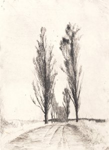 Poplar Avenue