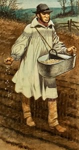 Sowing by Peter Jackson