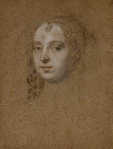 Portrait Head of a Lady