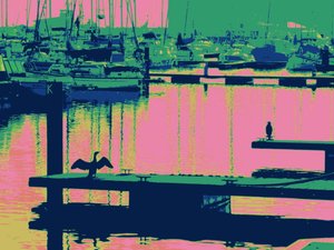 Court-Ship Hartlepool by Peter McClure