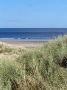 Durham Coast No.1, 2015