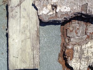 Textured Relief by Peter McClure