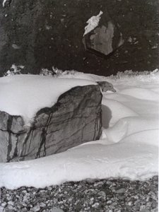 Vintage B&W Photo No.3, 1985 by Peter McClure