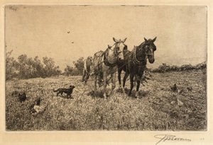 Fall Ploughing by Peter Moran