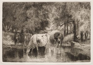 The Pool by Peter Moran