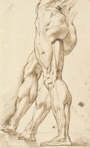 An Écorché Study of the Legs of a Male Nude, with a Subsidiary Study of the Right Leg