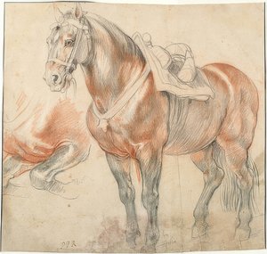 Saddled Horse. Around 1615-18