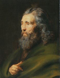 Head Study of a Bearded Man by Peter Paul Rubens