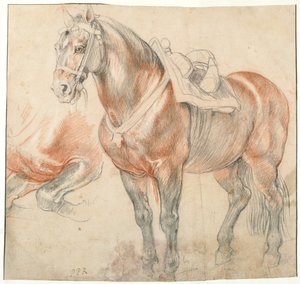 Saddled Horse, c. 1616-1618