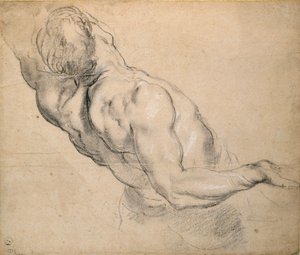 Study of a Nude Male Torso