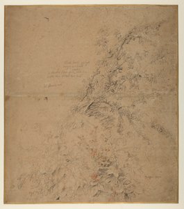 Study of blackthorn with bramble and other plants by Peter Paul Rubens