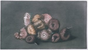 Still Life of Dried Flowers