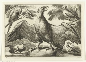 Eagle (Various Birds series)