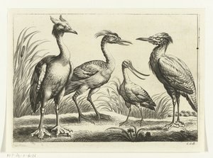 Four Wading Birds