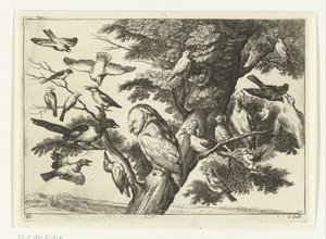 Birds in a Tree