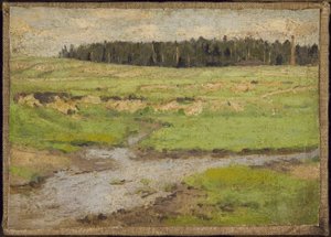 Landscape in Summer