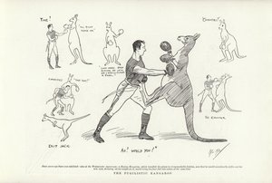 The Pugilistic Kangaroo by Phil May