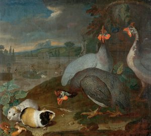 Guinea Fowls with Guinea Pig
