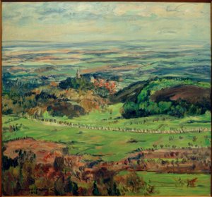 View into the Main Plain