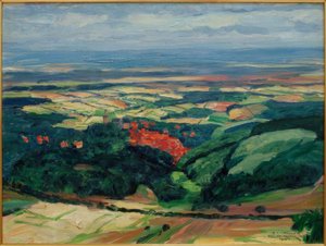 View over Kronberg into the Main Plain