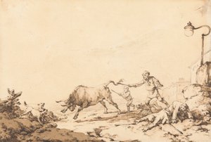 A Bull Charging