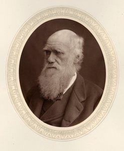 Portrait of Charles Darwin