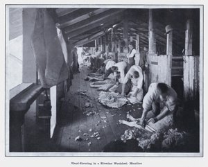 Hand-Shearing in a Riverina Woolshed, Merribee by Photographer Australian
