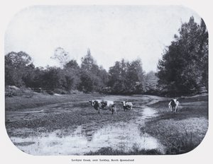Lockyer Creek, near Laidley, South Queensland by Photographer Australian