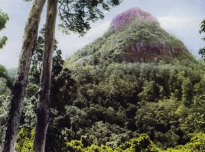 Queensland, Australia: Mt Cordeaux