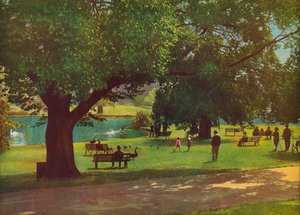 The Botanic Gardens, Melbourne