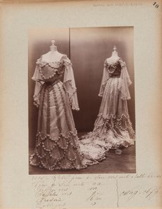 Album Page: House of Worth, Ball Gown