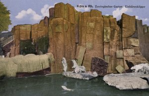 Cologne Zoo, Polar Bears by Photographer German
