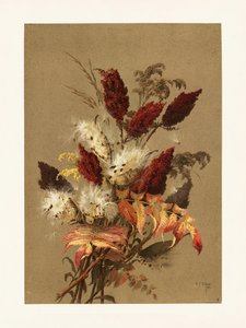 Sumac and Milkweed by Pictufy