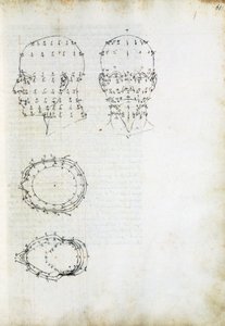 Construction and Geometric Projection of Head, Page from 