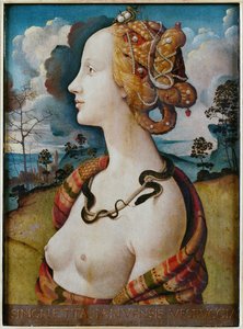 Portrait of a Woman Known as Simonetta Vespucci
